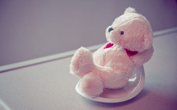 Cute Picture For Wallpaper Wallpaper Bear Toys.