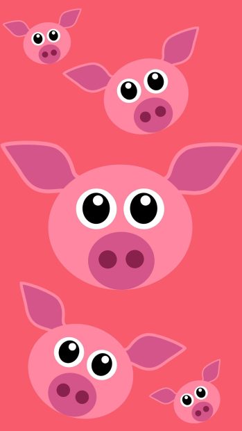 Cute Pig Backgrounds HD 1080p.