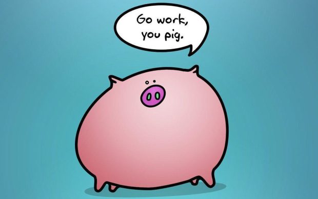 Cute Pig Wallpaper for Windows.