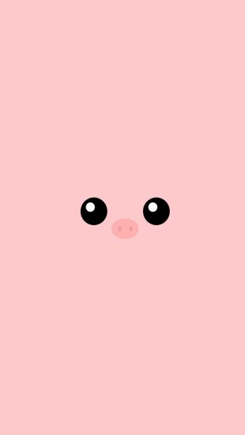 Cute Pig Wallpapers.