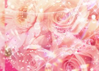 Cute Pink Aesthetic Wallpaper Flower.