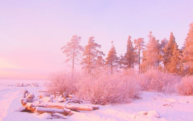 Cute Pink Aesthetic Wallpaper Winter.