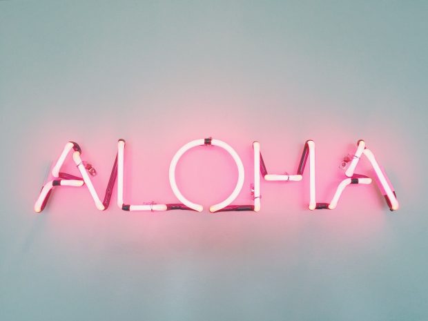 Cute Pink Backgrounds High Quality Aloha.