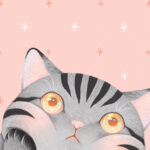 Cute Pinterest Wallpaper Cat Cute.