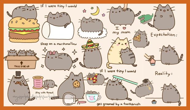 Cute Pusheen Background.