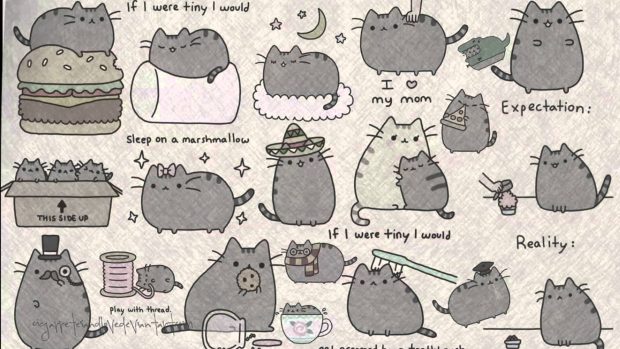 Cute Pusheen Wallpaper 1920x1080.