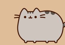 Cute Pusheen Wallpaper for Desktop.