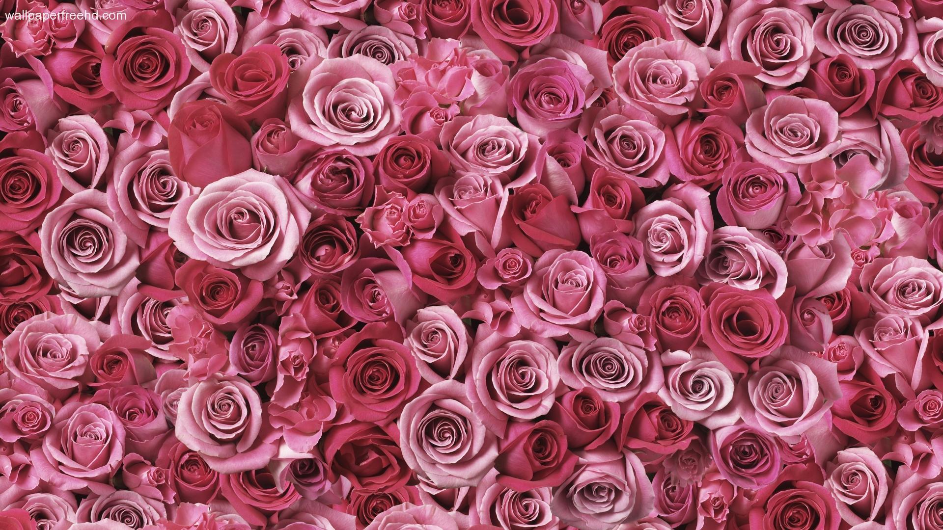 Free download Cute Rose Gold Wallpapers 