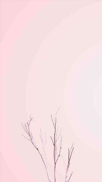 Cute Simple Aesthetic Background.