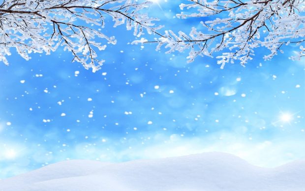 Cute Snow Wide Screen Wallpaper.