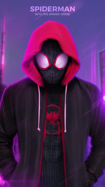 Cute Spider Man Into The Spider Verse Wallpaper HD.