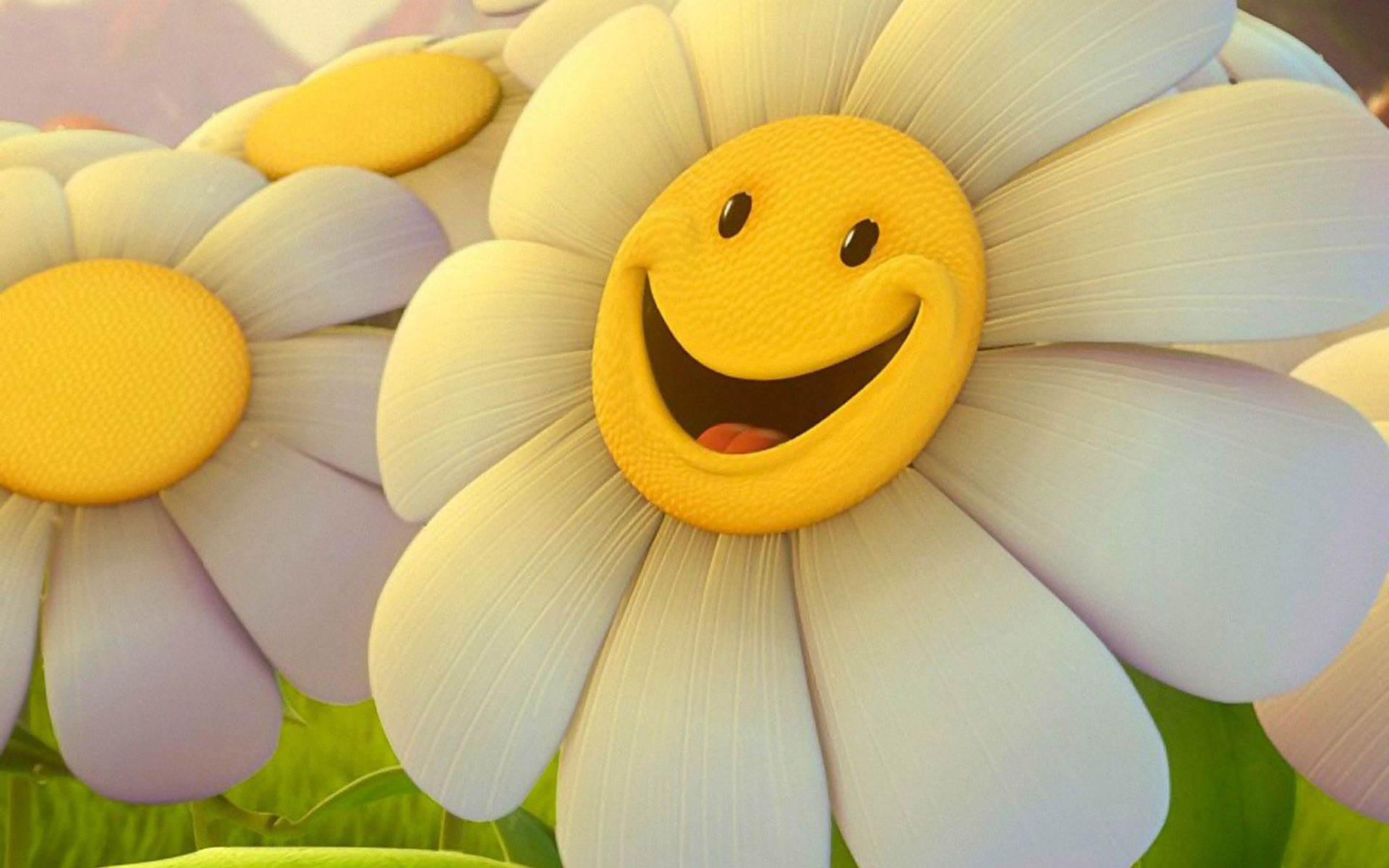 Cute Sunflower Desktop Wallpapers 