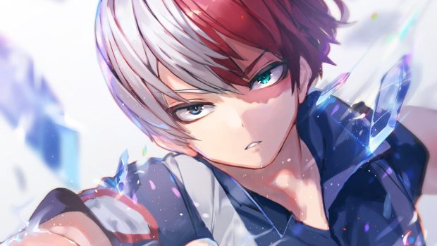 Cute Todoroki Wallpaper Free Download.