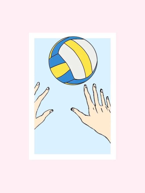 Cute Volleyball Wallpaper HD.