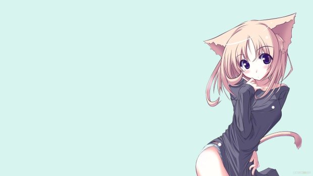 Cute Wallpaper Anime High Resolution Cat.