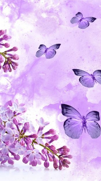 Cute Wallpapers For Android HD Butterfly.