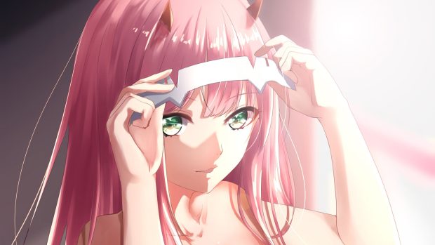 Cute Zero Two Wallpaper HD.