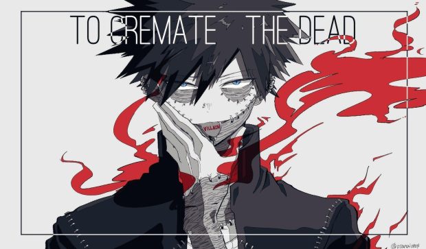 Dabi Wide Screen Wallpaper HD.