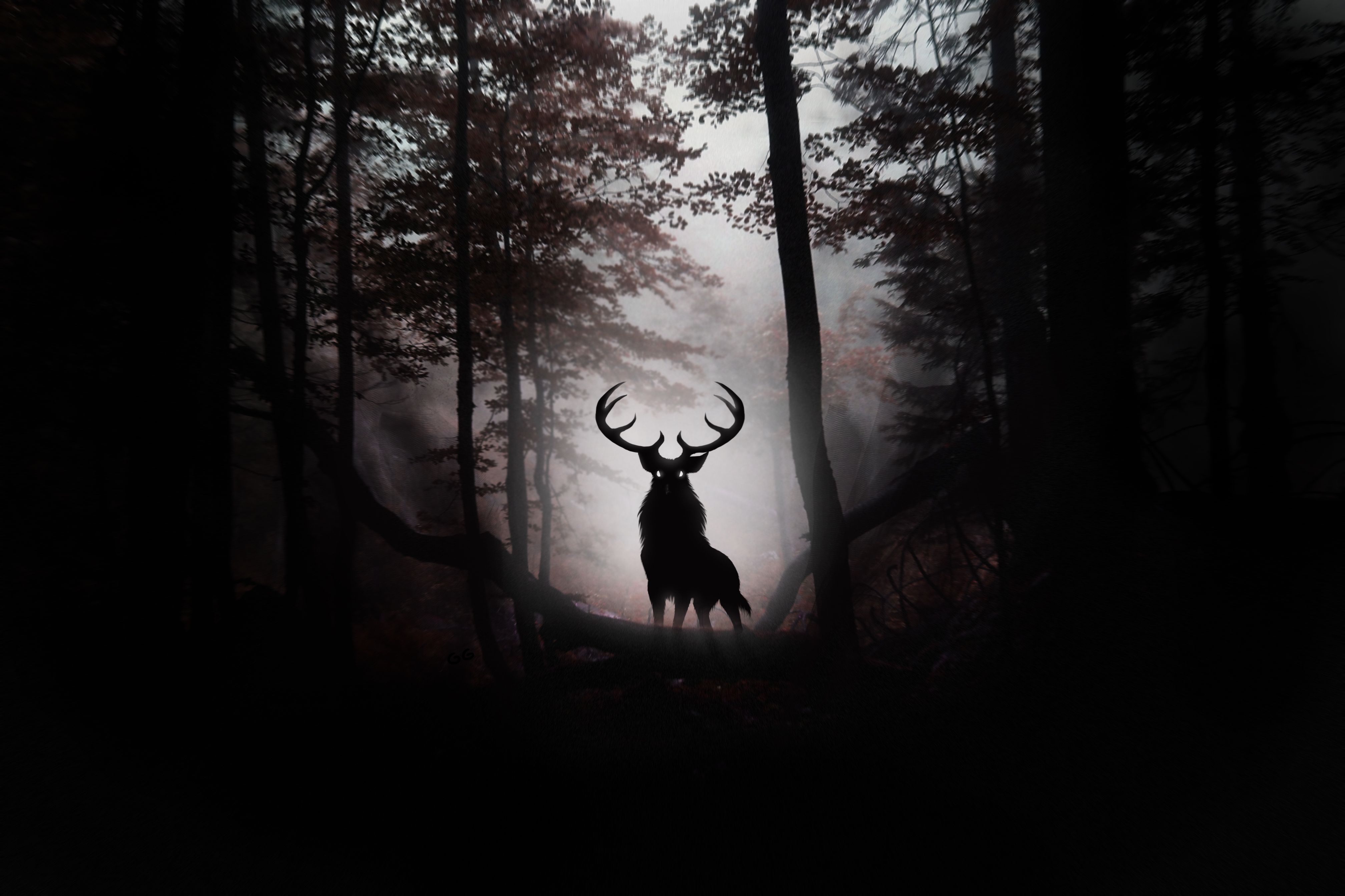 Discover more than 71 dark forest hd wallpapers latest - 3tdesign.edu.vn