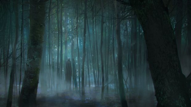 Dark Forest Wallpaper HD Free download.