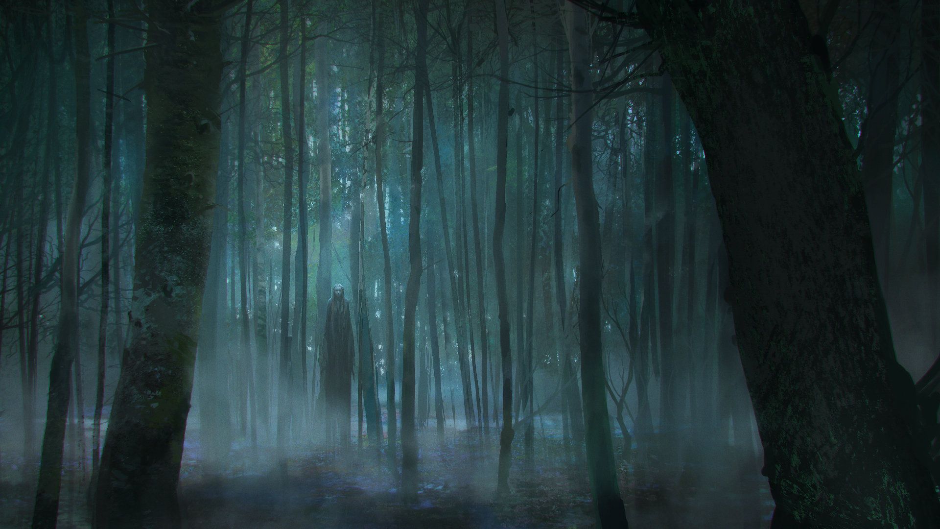 Dark Forest Wallpapers HD High Quality 