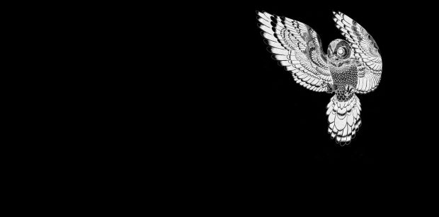 Dark Owl Wallpaper HD.