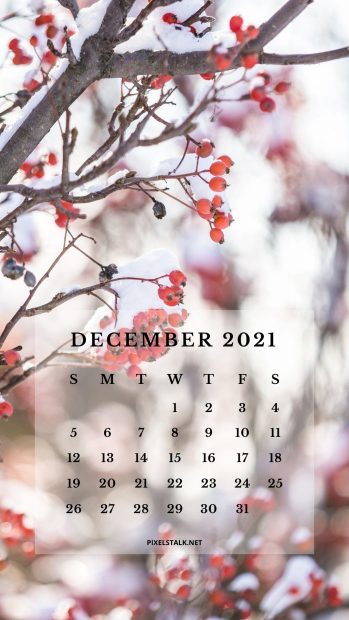 December Wallpaper 1080x1920.