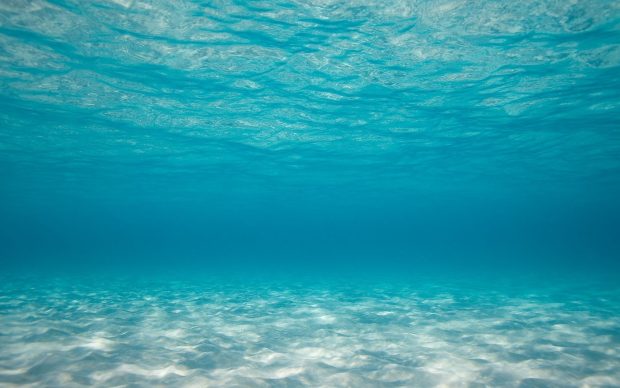 Deep Ocean HD Wallpaper.