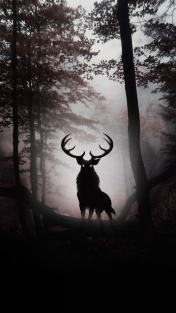 Deer Forest Wallpaper HD.