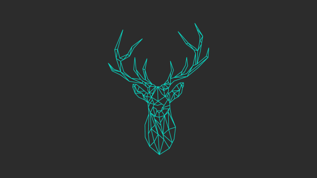 Deer HD Wallpaper.