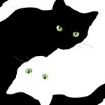 Desktop Aesthetic Wallpaper Cat Black And White.