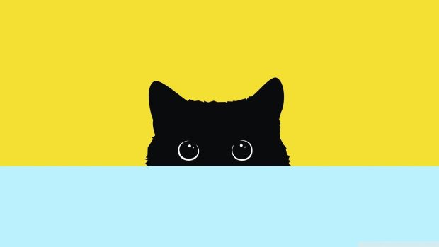 Desktop Aesthetic Wallpaper HD Cute Cat.