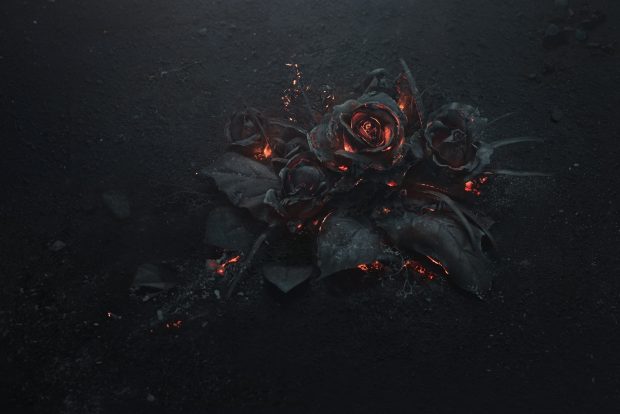 Desktop Black Rose Wallpaper HD.