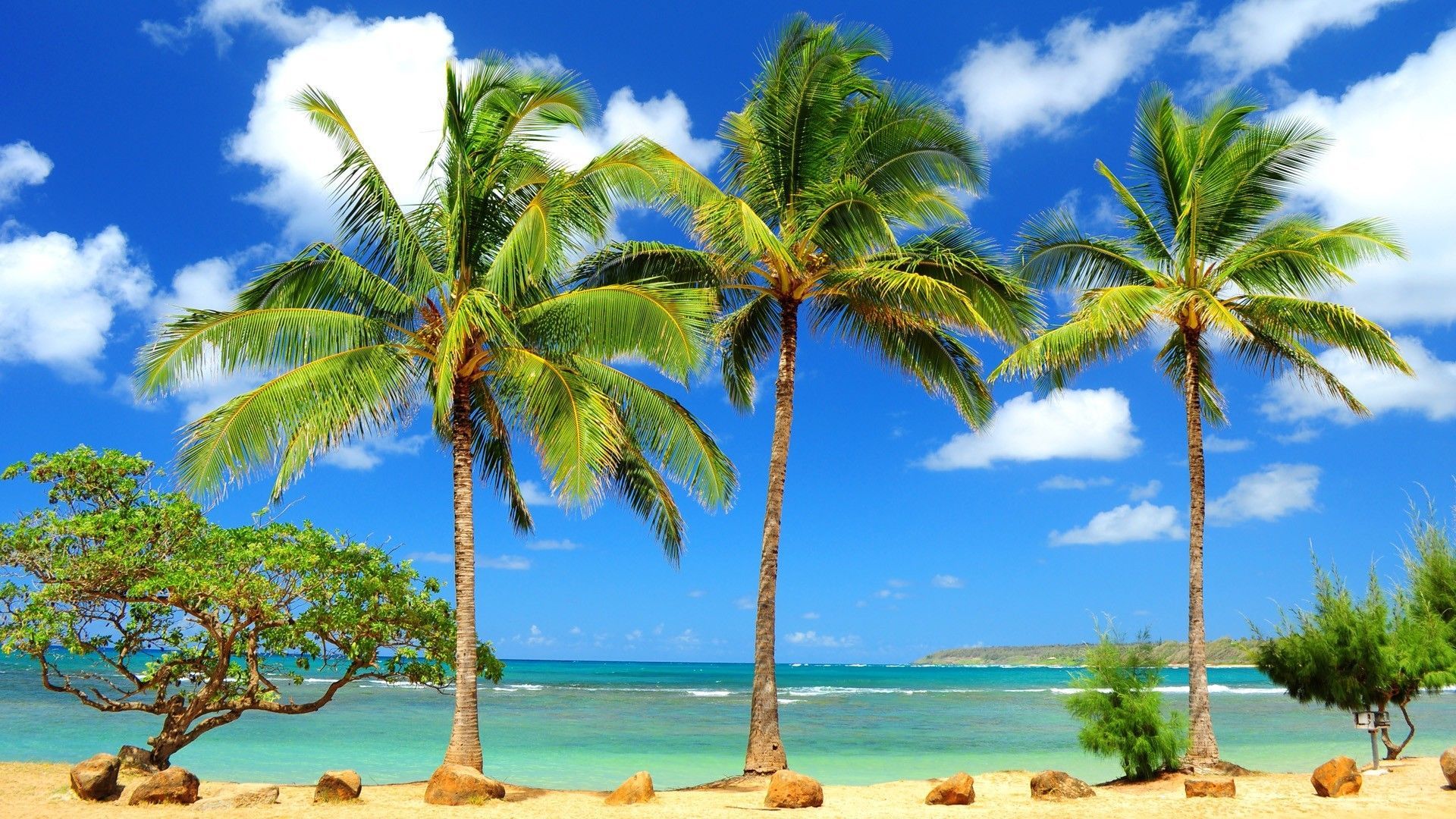 Hawaii HD Wallpapers High Quality for Desktop 
