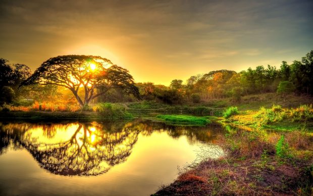 Desktop Nature Backgrounds HD.