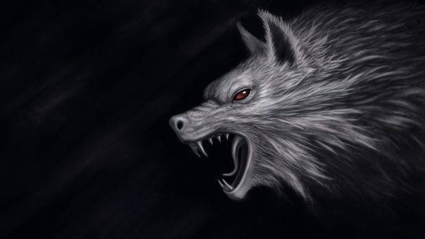 Desktop Wolves Wallpaper HD.