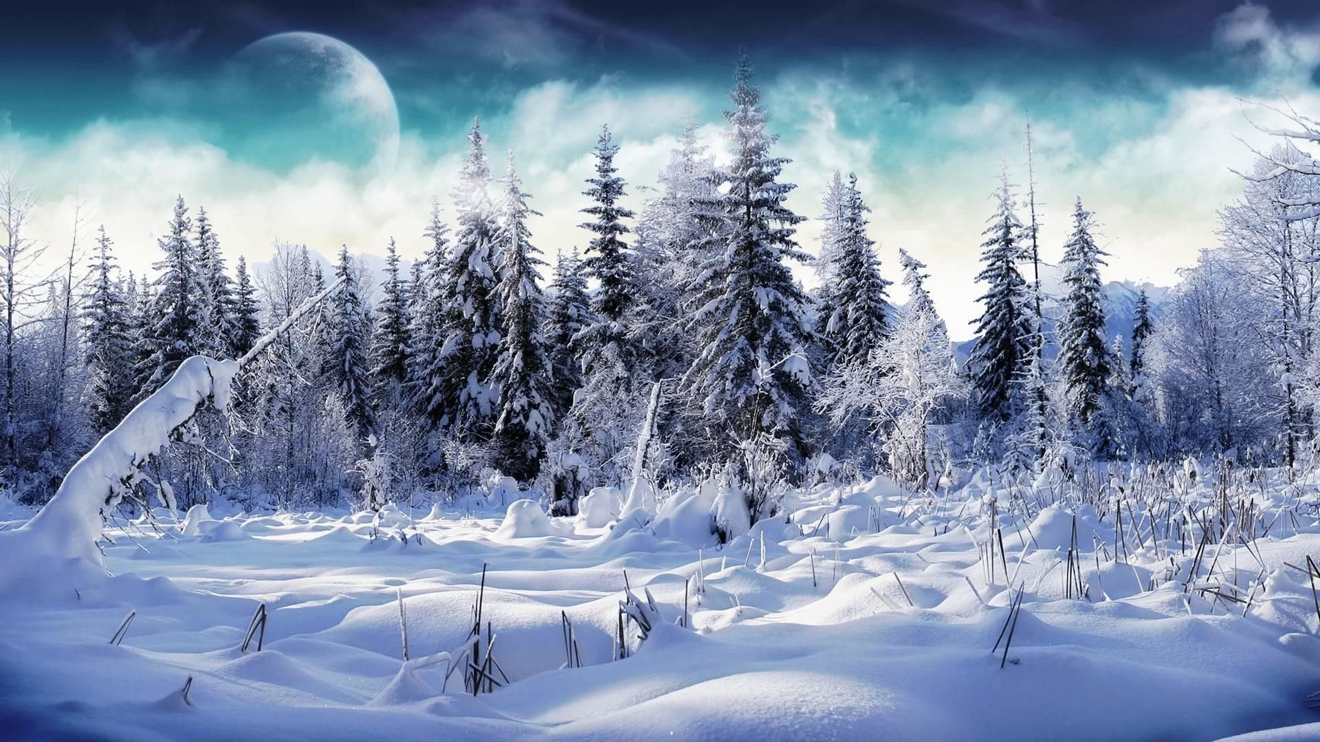 Disney Winter winter characters disney HD wallpaper  Pxfuel