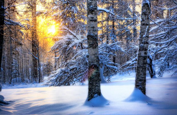 Download Cool Winter Background HD.