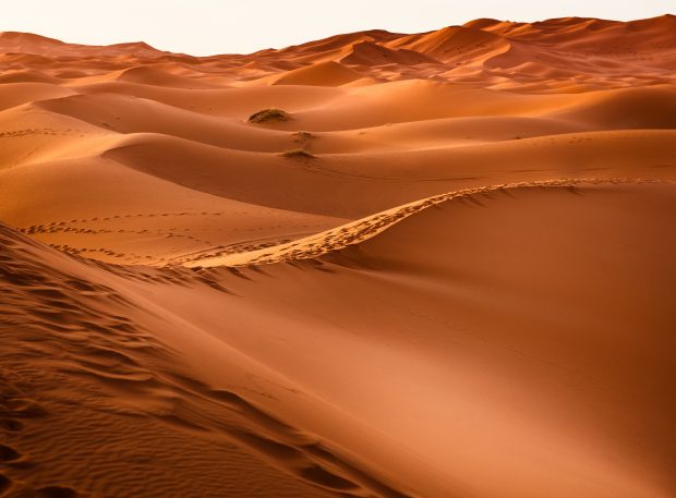 Download Free Desert Background HD.