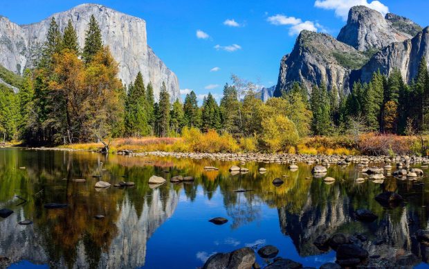 Download Free Nature Backgrounds HD.
