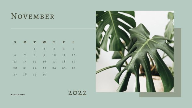 Download Free November 2022 Calendar Wallpaper HD.