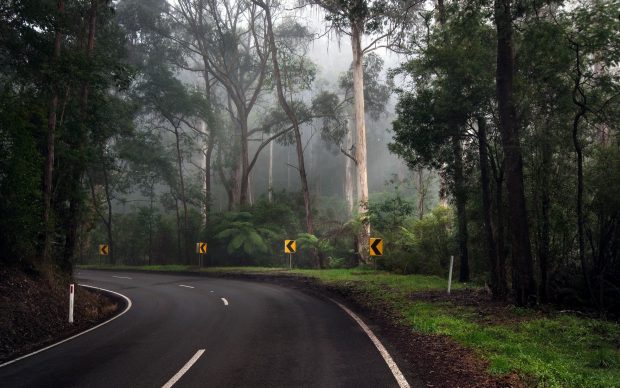 Download Free Road Wallpaper HD.