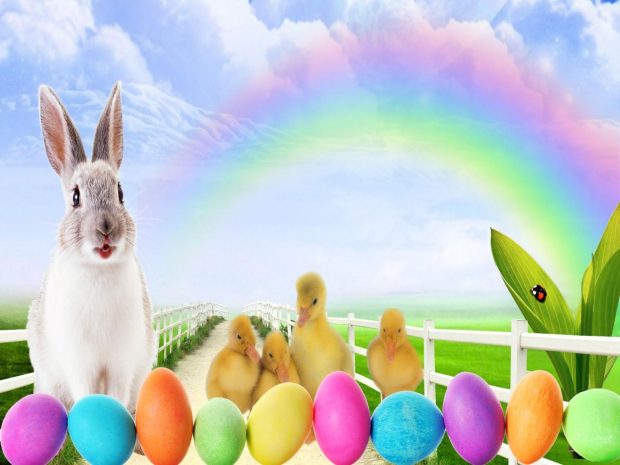 Easter Bunny Wallpaper HD Rainbow Easter Eggs.