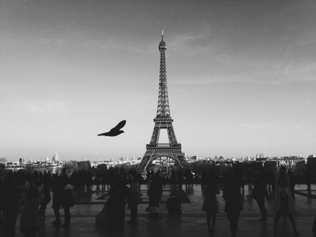 Eiffel Aesthetic Background Black And White.