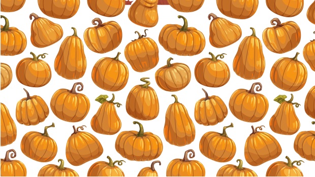 Fall Aesthetic Wallpaper HD.