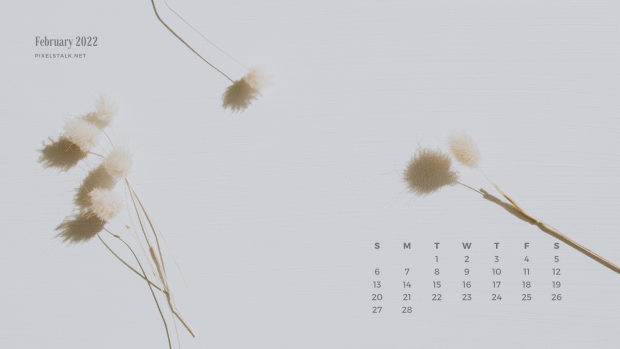 February 2022 Aesthetic Calendar Wallpaper.