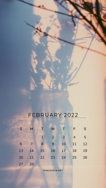February 2022 calendar iphone background.