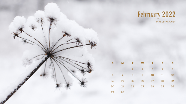 February 2022 winter calendar wallpaper 2.