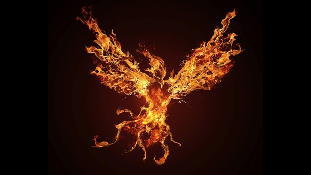 Fire Phoenix Wallpaper HD.