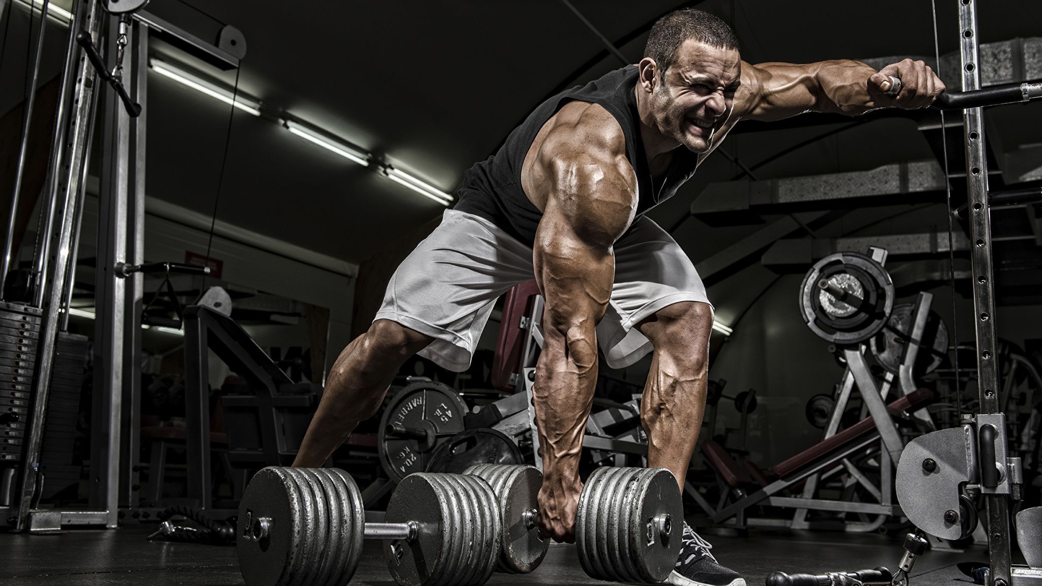 Weights Photos Download The BEST Free Weights Stock Photos  HD Images